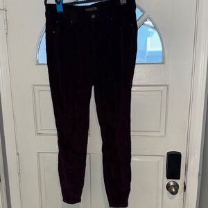 Torrid Bombshell Skinny Pants in Deep Purple